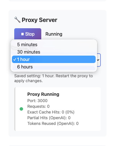 AI Optimizer proxy settings showing adjustable cache TTL options with 1 hour selected.